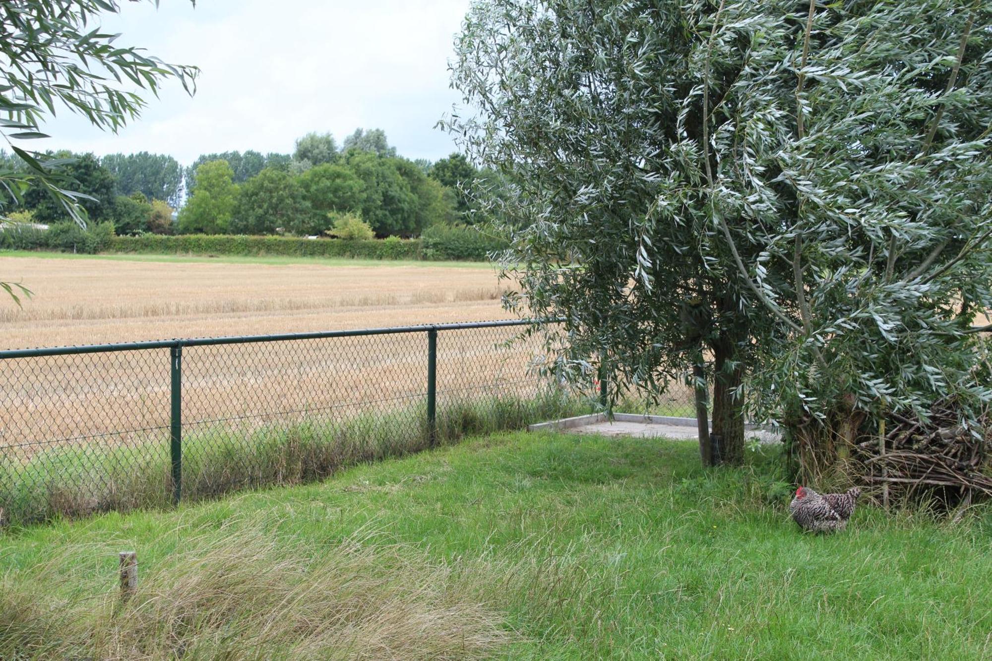 Slapen Aan De Voet Van De Molen Ovezande Exterior foto